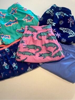 Chubbies swim trunks 
5.5 “ seam 
All in good condition 

All 5 for $80